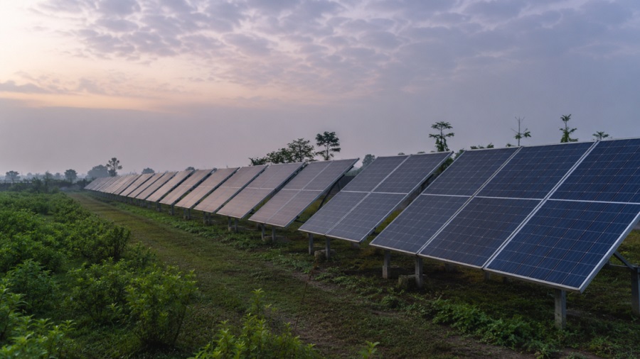Renewable Energy