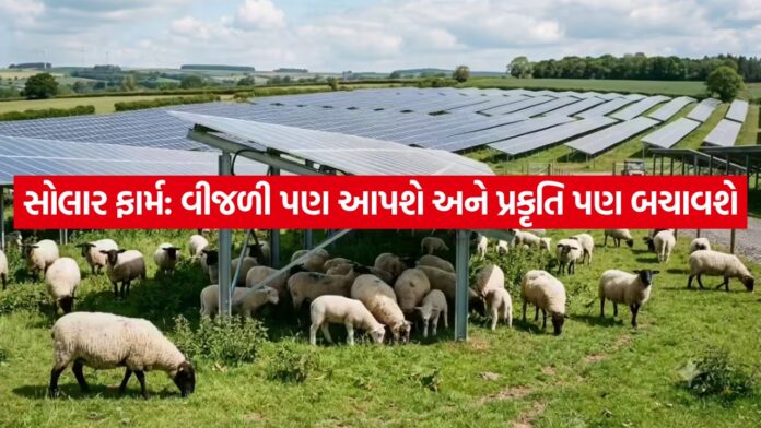 solar farm 1907