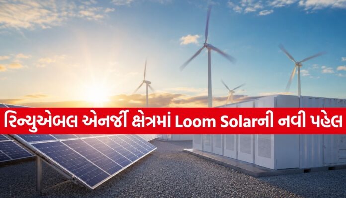 Loom Solar Loom Solar